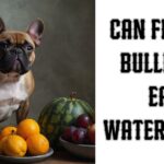 Can french bulldogs eat watermelon